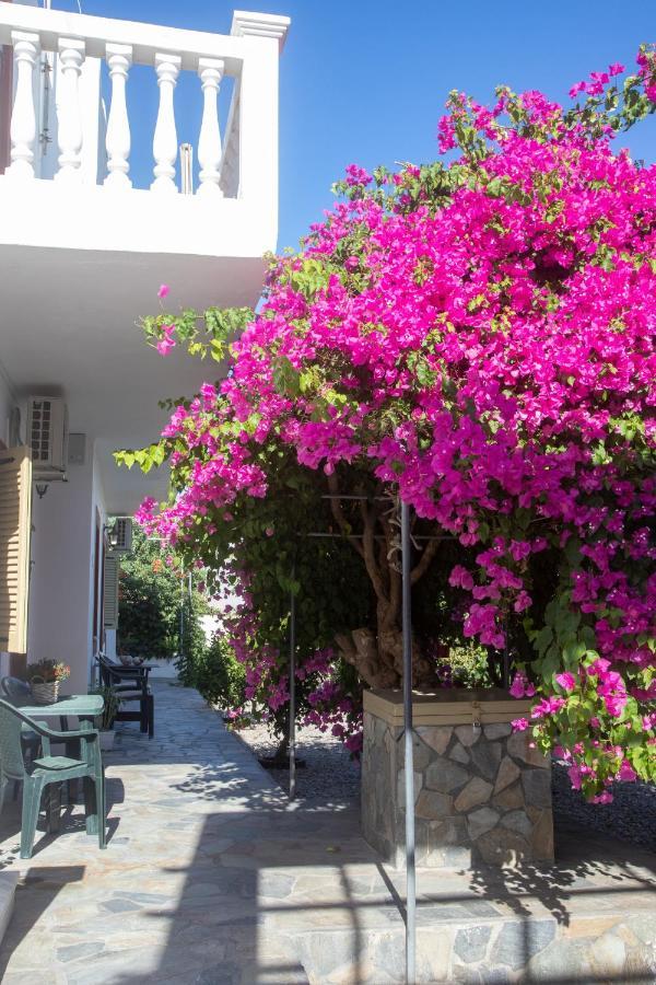 Flowers Studios Skala Exterior foto